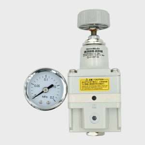 Regulador de precisión IR2000-02-BG